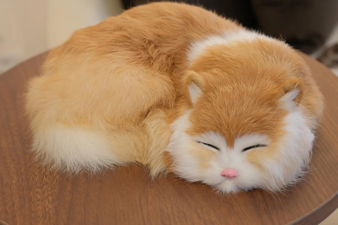 Snuzzle Cats Brown Small