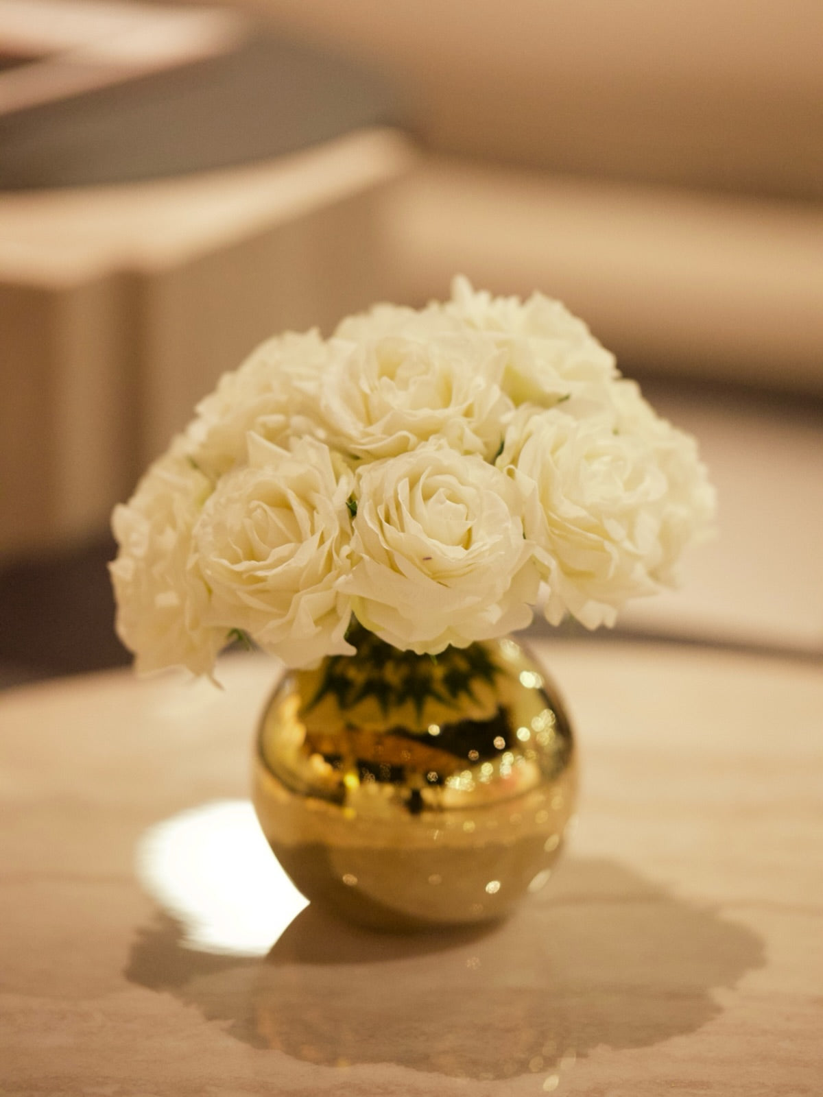 Ladylike White Rose