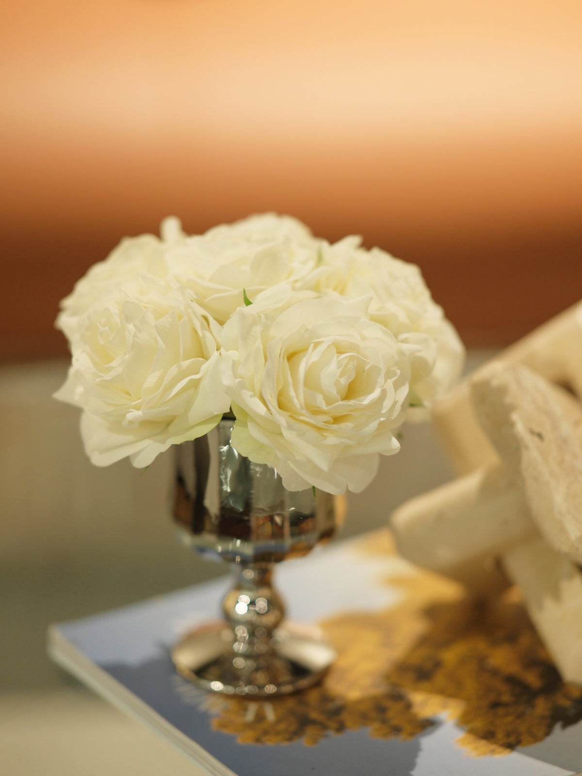 French Rose White