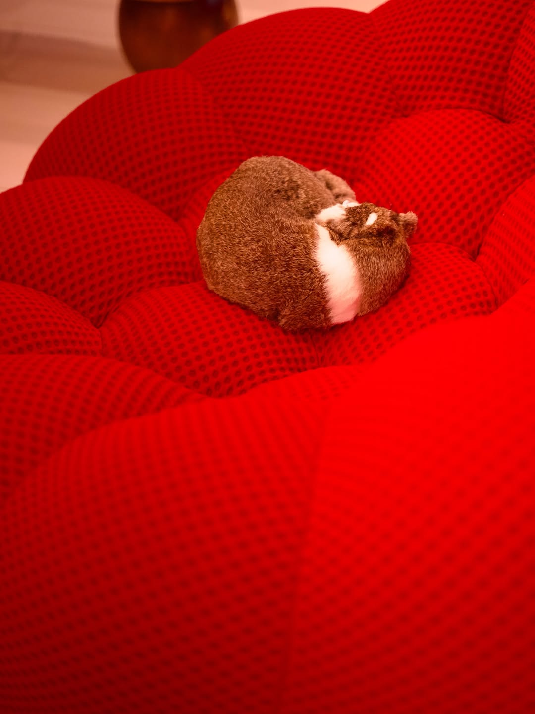 Bubble Chair Red