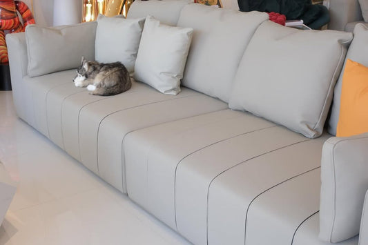 Sach Sofa