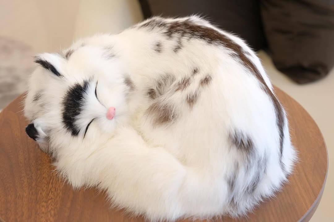 Snuzzle Cats