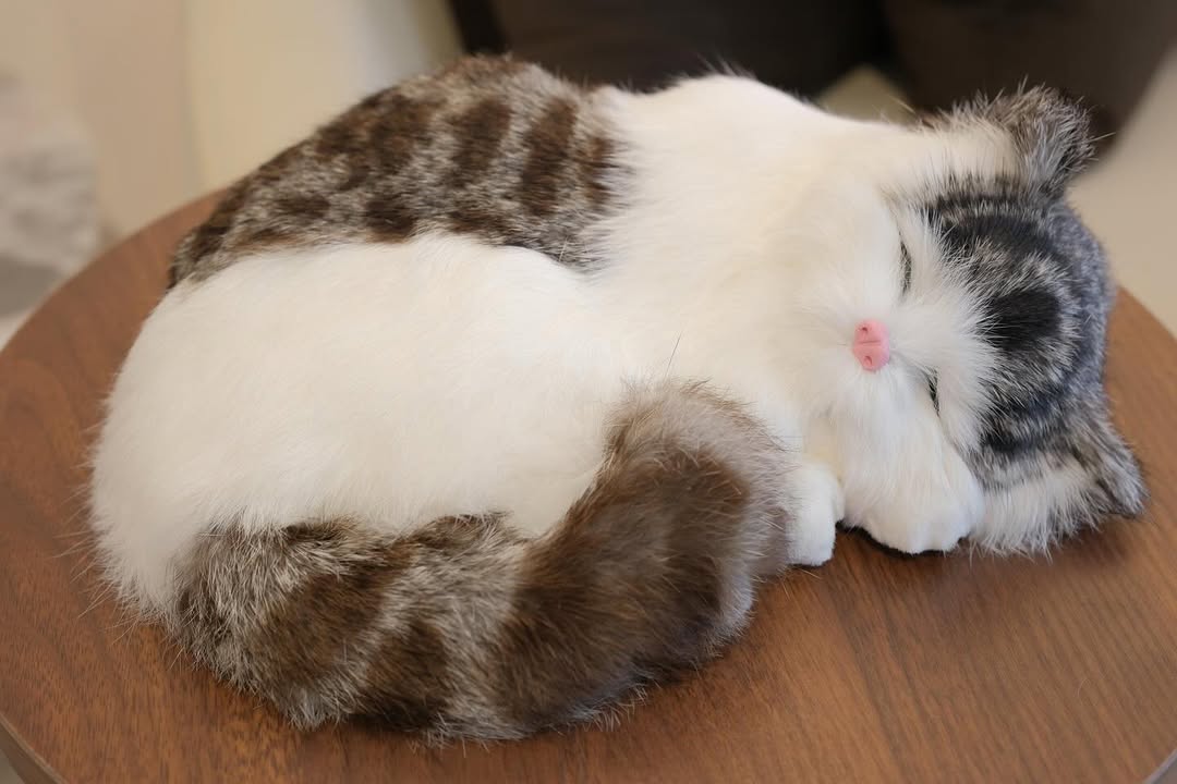 Snuzzle Cats