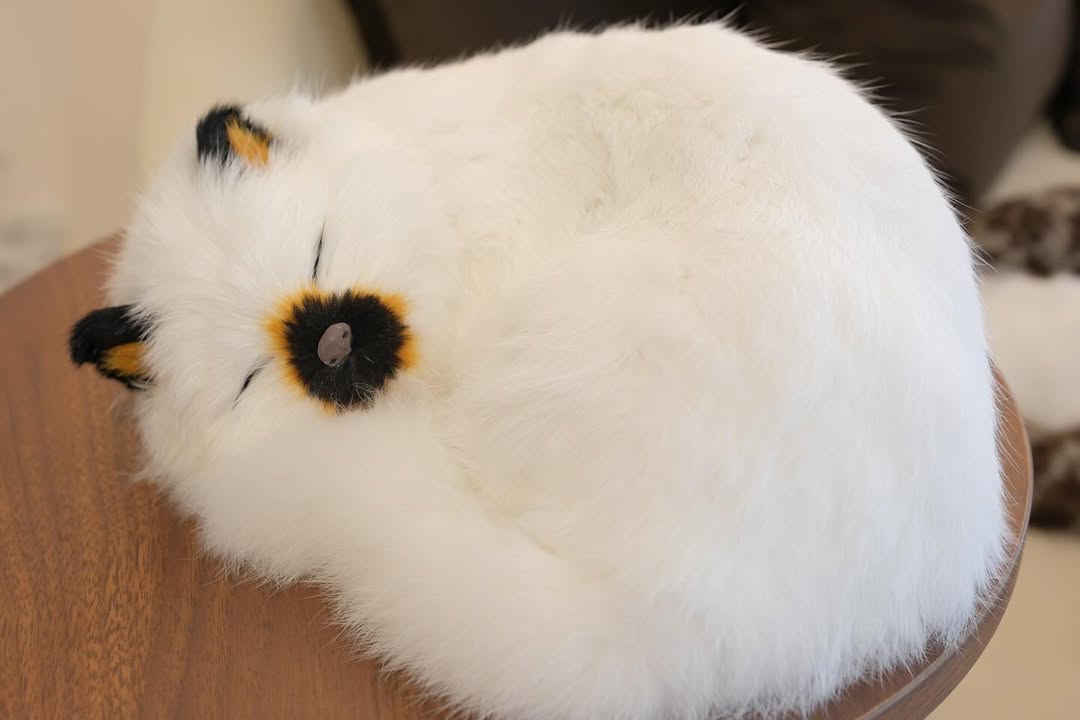Snuzzle Cats