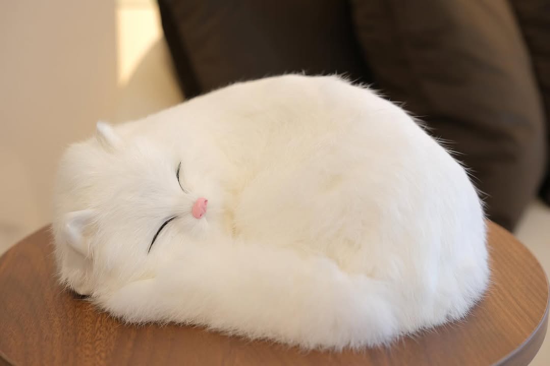 Snuzzle Cats