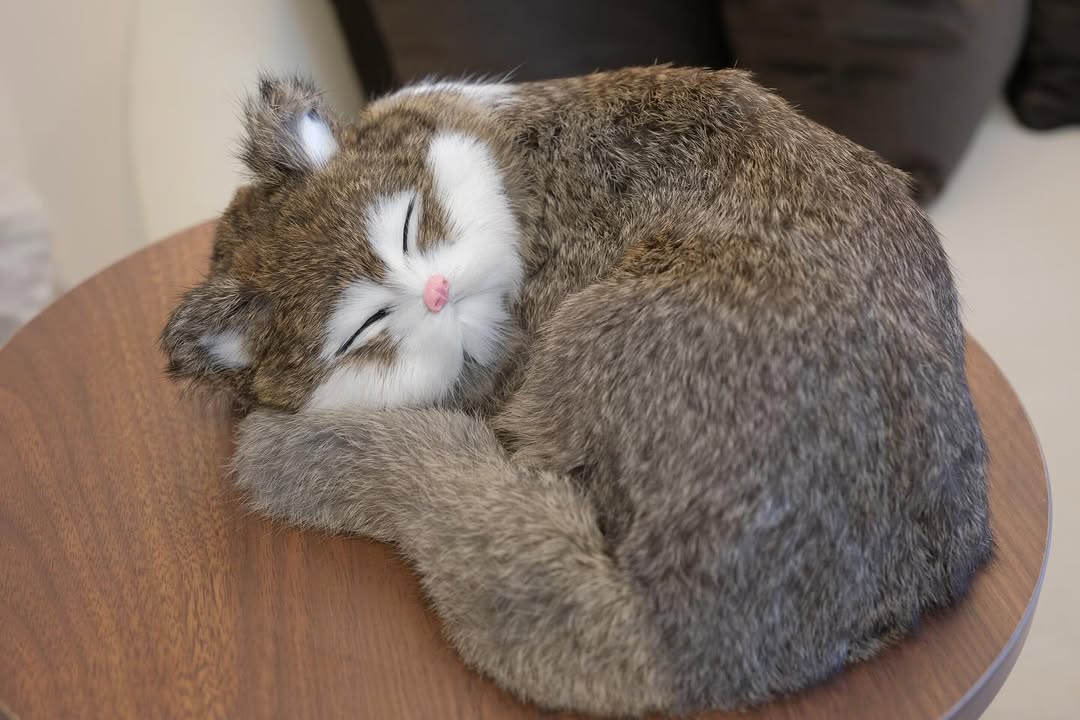 Snuzzle Cats