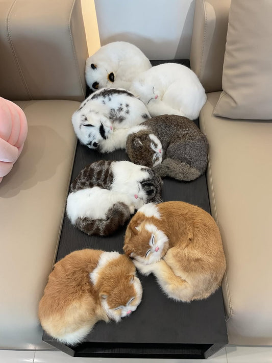 Snuzzle Cats