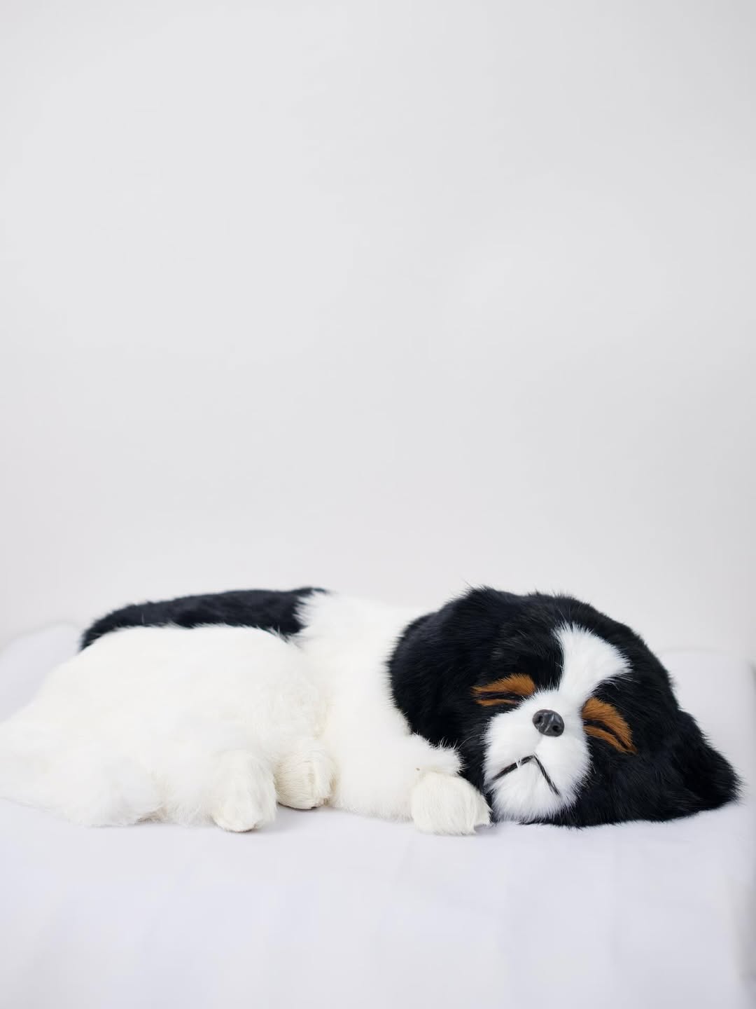 Slumber Pup