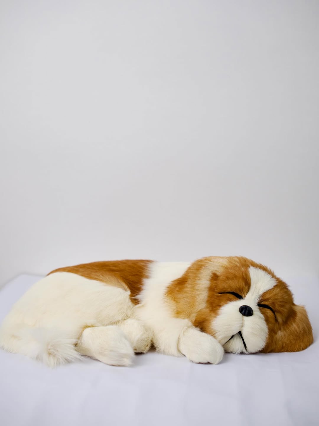 Slumber Pup