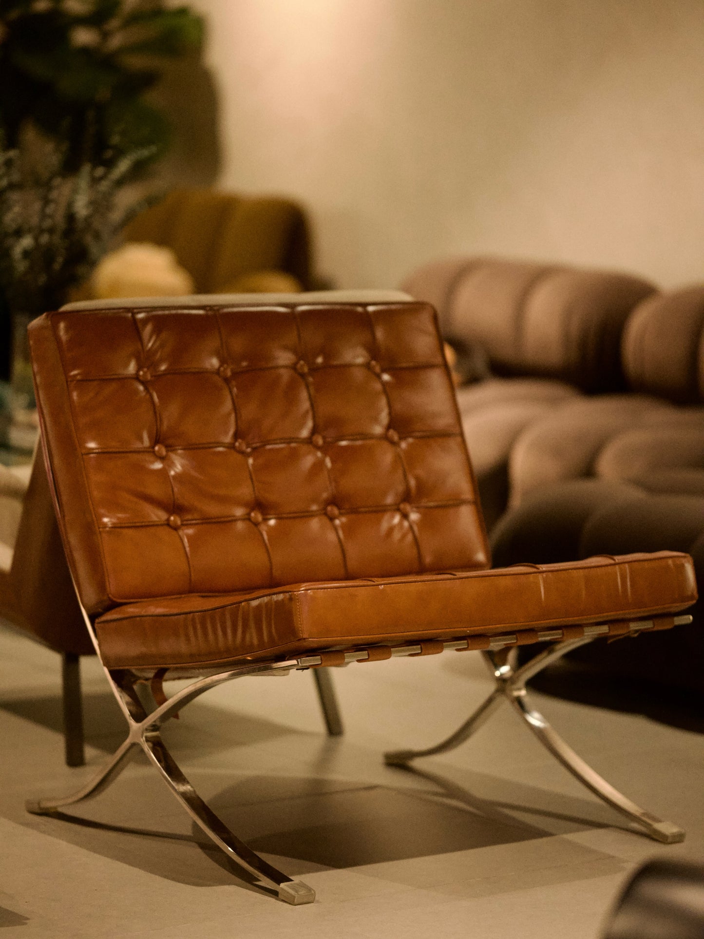 Barcelona Brown
