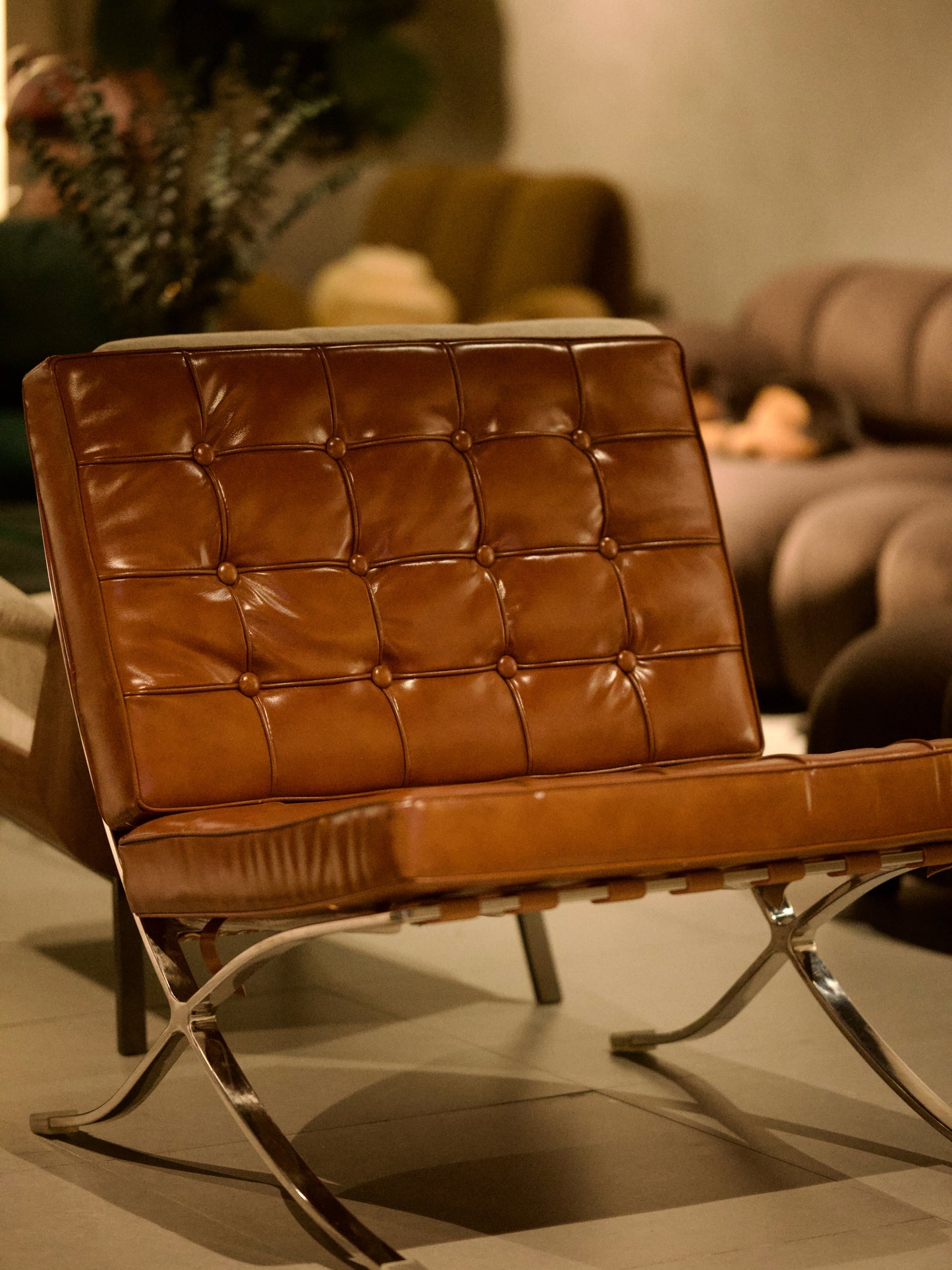 Barcelona Brown