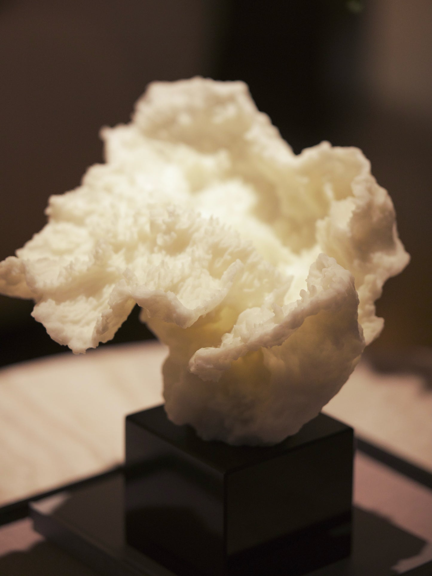 Ivory Coral