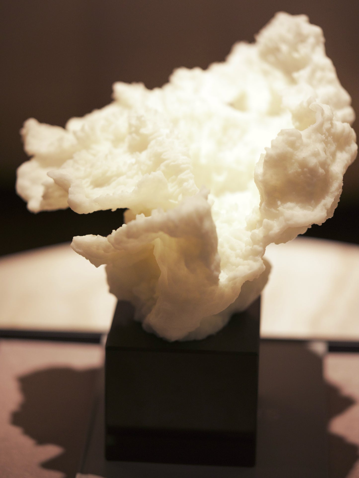 Ivory Coral