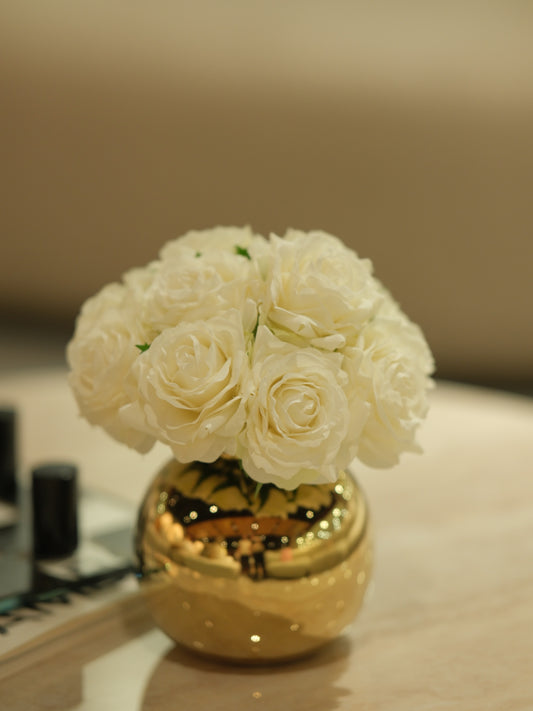 Ladylike Rose White