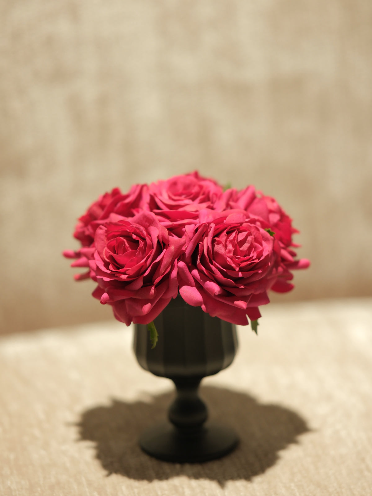 French Rose Red