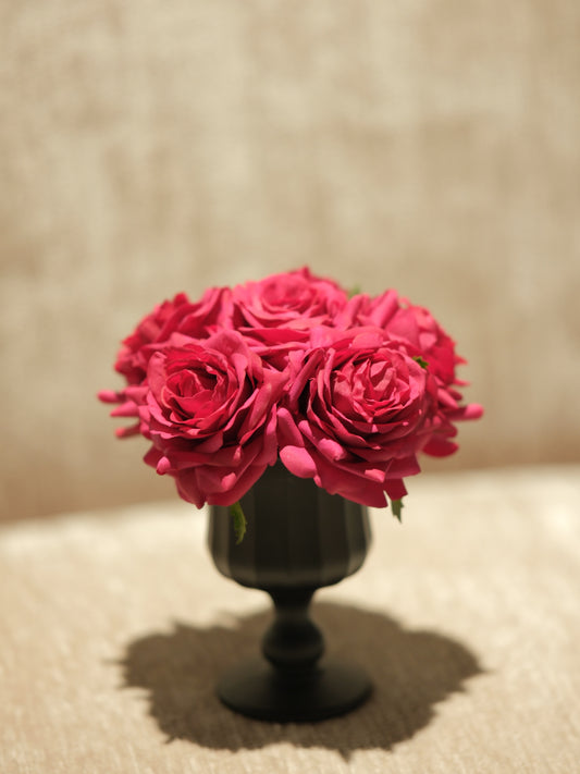 French Rose Red