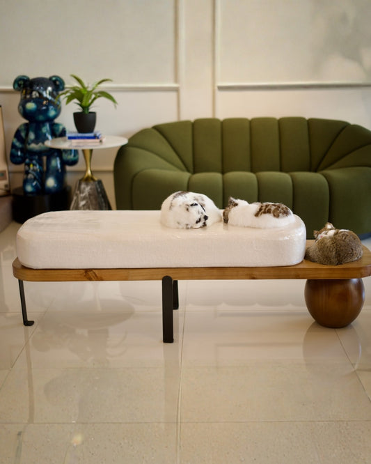 Axis Bench – Walnut & Ivory