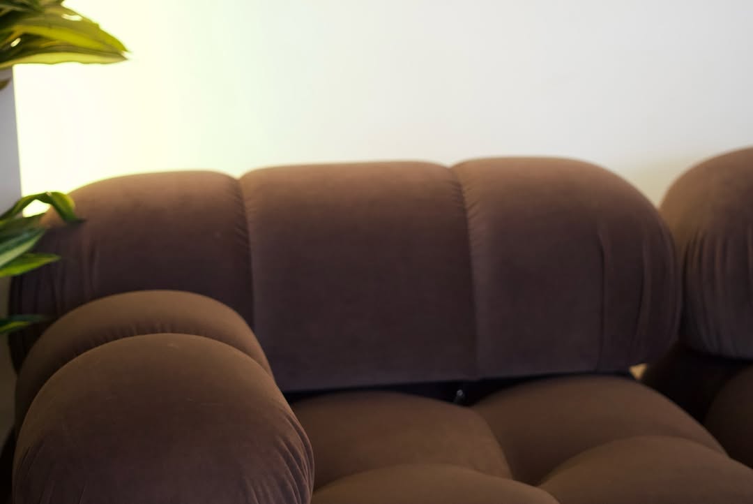 Arco Brown Sofa
